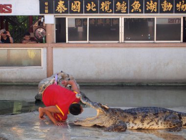 Samutprakarn, Tayland - 18 Nisan 2015: Timsah Timsah çiftliği'nde göster. Bu heyecan verici göstermeleridir turist ve Tay insanlar arasında çok ünlü