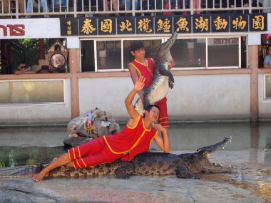 Samutprakarn, Tayland - 18 Nisan 2015: Timsah Timsah çiftliği'nde göster. Bu heyecan verici göstermeleridir turist ve Tay insanlar arasında çok ünlü