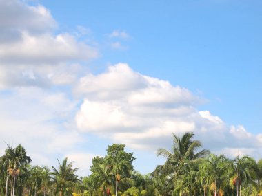 Mavi gökyüzü ve güzel bulutlar