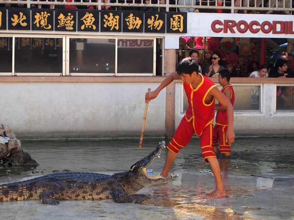 Samutprakarn,Thailand - April 18, 2015 : crocodile show at crocodile farm .This exciting show is very famous among tourist and Thai people — Stock Photo, Image