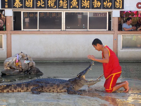 Samutprakarn, Tailândia - 18 de abril de 2015: show de crocodilo na fazenda de crocodilos. Este show emocionante é muito famoso entre os turistas e tailandeses. — Fotografia de Stock