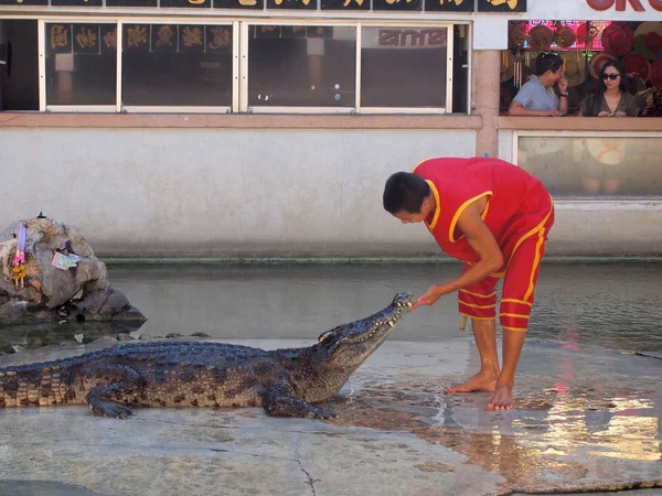 Samutprakarn, Tailândia - 18 de abril de 2015: show de crocodilo na fazenda de crocodilos. Este show emocionante é muito famoso entre os turistas e tailandeses. — Fotografia de Stock