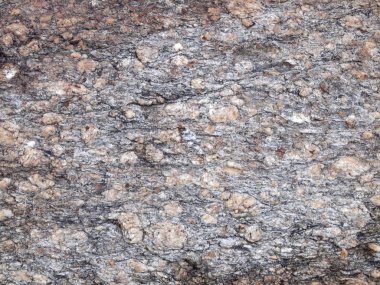 Ağaç kabuğu dokusu kapat