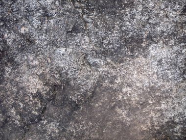 Ağaç kabuğu dokusu kapat