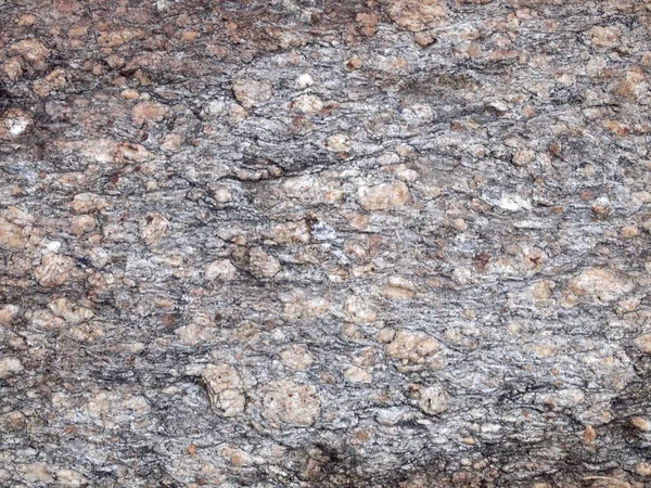 Ağaç kabuğu dokusu kapat