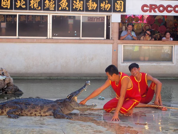 Samutprakarn, Tailândia - 18 de abril de 2015: show de crocodilo na fazenda de crocodilos. Este show emocionante é muito famoso entre os turistas e tailandeses. — Fotografia de Stock
