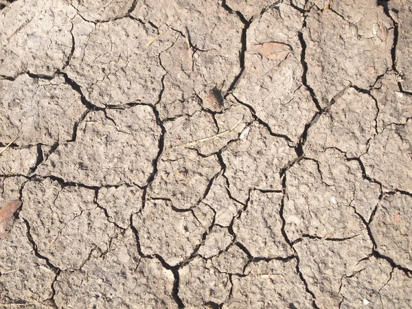 Barren ground horizontal close up — Stock Photo, Image