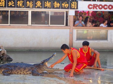 Samutprakarn, Tayland - 18 Nisan 2015: Timsah Timsah çiftliği'nde göster. Bu heyecan verici göstermeleridir turist ve Tay insanlar arasında çok ünlü