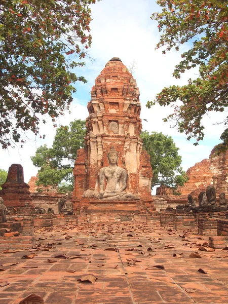 Ayutthaya, Thaimaa - 9. elokuuta 2015: Ayutthayan historiallinen puisto peittää vanhan kaupungin rauniot — kuvapankkivalokuva