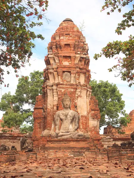 Ayutthaya, Thaimaa - 9. elokuuta 2015: Ayutthayan historiallinen puisto peittää vanhan kaupungin rauniot — kuvapankkivalokuva