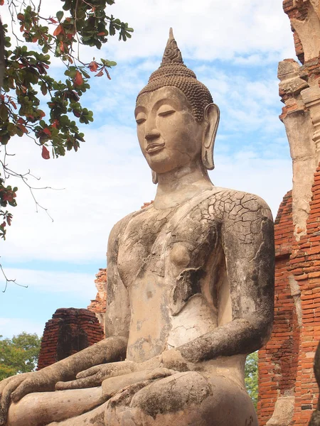 Ayutthaya, thailand - 9. August 2015: Der historische Park von Ayutthaya bedeckt die Ruinen der Altstadt — Stockfoto