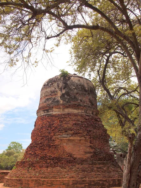 Pagoda bir tapınak — Stok fotoğraf