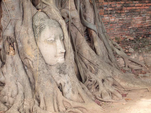 Ayutthaya, Thailand - August 9, 2015 :The Ayutthaya Historical Park covers the ruins of the old city — Stock Photo, Image