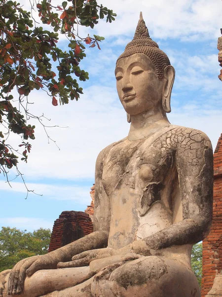 Ayutthaya, thailand - 9. August 2015: Der historische Park von Ayutthaya bedeckt die Ruinen der Altstadt — Stockfoto