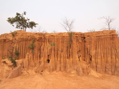 Lalu Park Sakaeo ili, Tayland, Thailand, toprak erozyonu nedeniyle stranges şekiller üretti