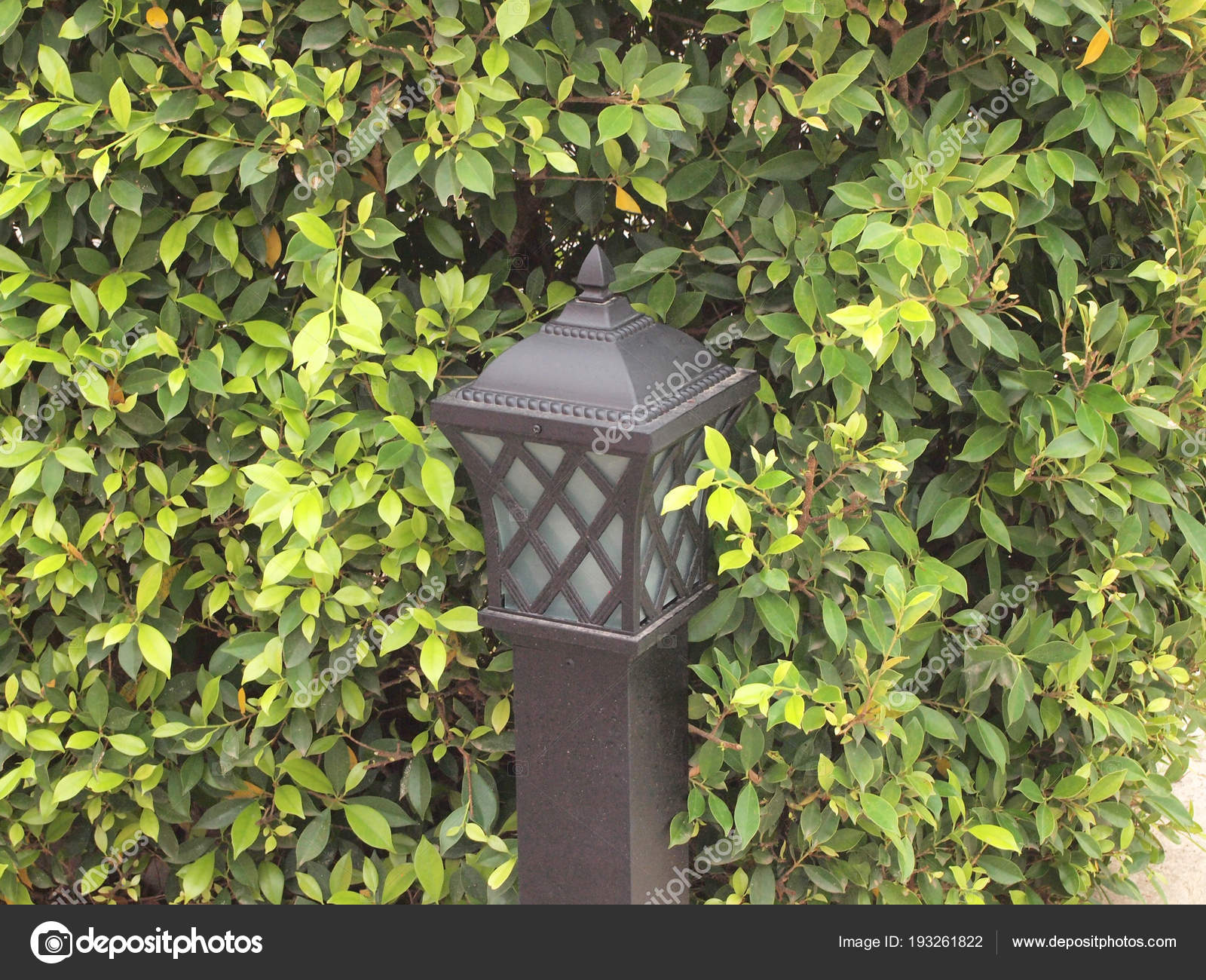 Electric Lamp Post Garden Stock Photo Paisan191 193261822 Electric Lamp Post Garden Stock Photo