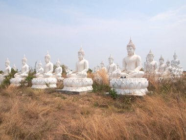 Sakeaw, Tayland - 29 Mart 2015: Satır beyaz Buda heykeli ibadet için sahada.