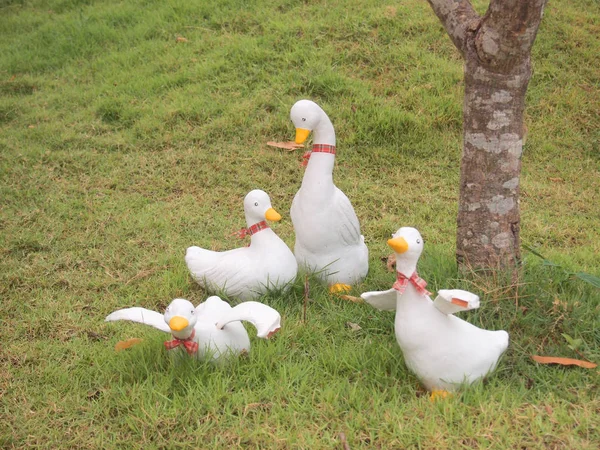 Duck Statue Garden — Stock Photo, Image