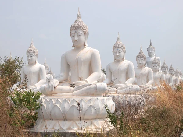 Sakeaw, Thailand - 29. mars 2015: Rad of White Buddha statue på markene for dyrkelse . – stockfoto