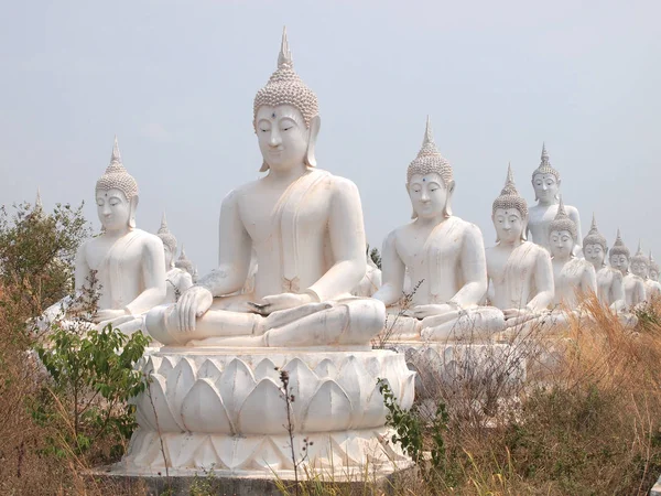 Sakeaw ,Thailand  - March 29 , 2015 : Row of White Buddha statue on the field for worship. — Stock Photo, Image