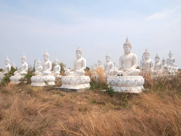 Sakeaw ,Thailand  - March 29 , 2015 : Row of White Buddha statue on the field for worship. — Stock Photo, Image