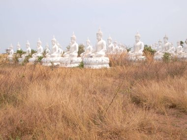 Sakeaw, Tayland - 29 Mart 2015: Satır beyaz Buda heykeli ibadet için sahada.