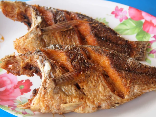 Fried Fish Plate — Stock Photo, Image