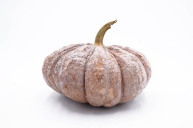 Beyaz arkaplanda kabak izole.