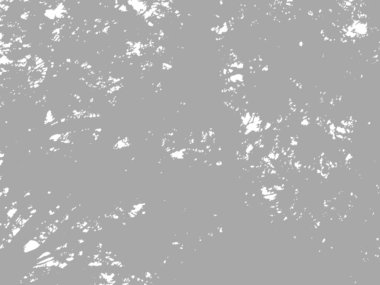 beyaz bir duvarda yaprak gölgeler