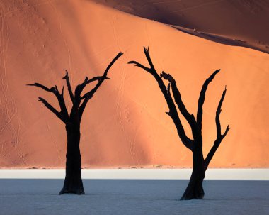 Ölü akasya ağaçları ve kırmızı Dunes Deadvlei Namib Naukluft PA