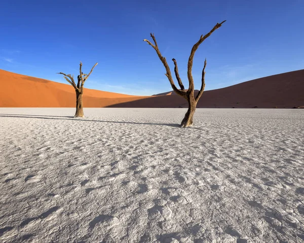 Dode acaciabomen en Rode duinen van Deadvlei in Namib-Naukluft Pa — Stockfoto