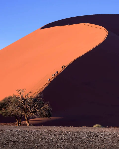 Dune 45 van Sossusvlei in de ochtend, Namib-Naukluft Park, Namib — Stockfoto
