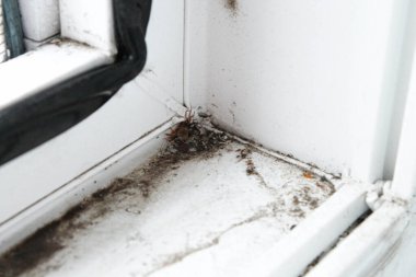 Kirli pencere bloğu. Plastik bir pencerenin kirlenmiş alanları.