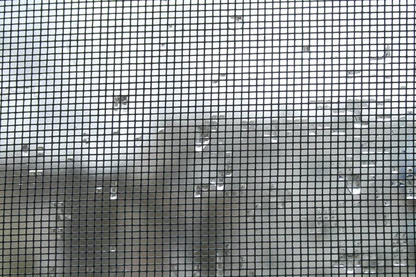 Mosquito net vokon frame with raindrops. — Stock Photo, Image