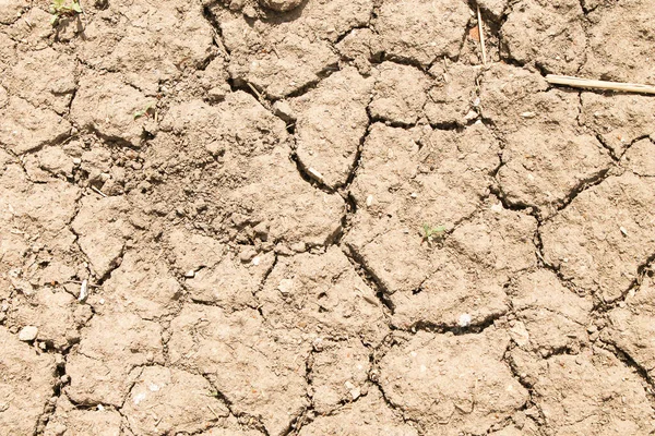 Gebarsten klei textuur. Fouten en scheuren op bevroren klei. — Stockfoto