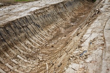 Dünya desen, dikey çizgiler yakın çekim