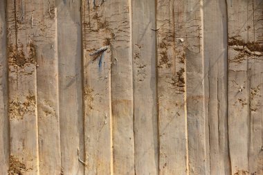 Dünya desen, dikey çizgiler yakın çekim