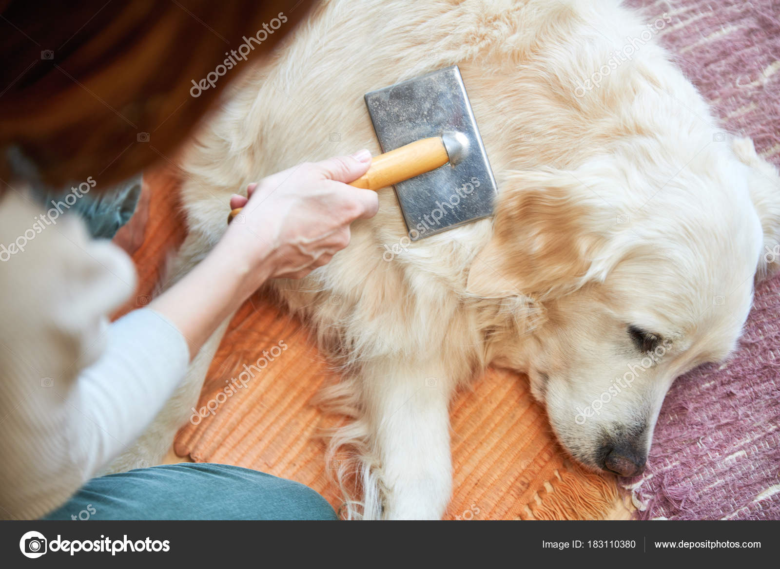 Why Do Old Dogs Lose Clumps Of Hair
