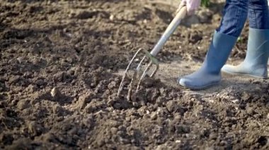 Bahçede çalışmak - Yay çatalıyla toprak kazmak. Yay toprağını kürekle kazıp yeni ekme mevsimi için hazırlamak..
