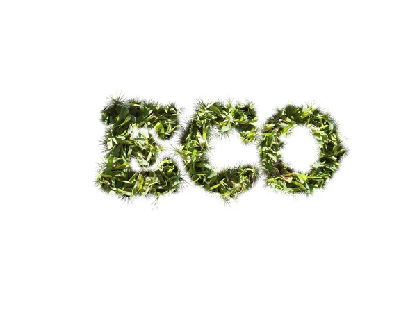 Eco słowo wpisane przez trawy — Zdjęcie stockowe