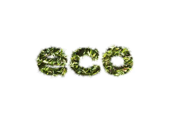 Eco word typed by grass — Stock Photo, Image