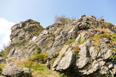 Bruchhauser steine in Bruchausen.