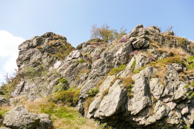 Bruchhauser steine in Bruchausen. clipart