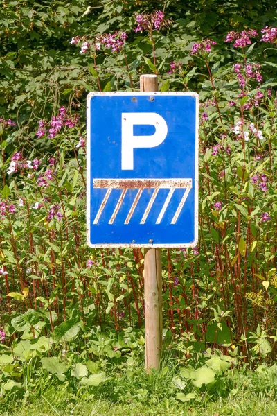 Znak drogowy dla parkowania samochodów. — Zdjęcie stockowe