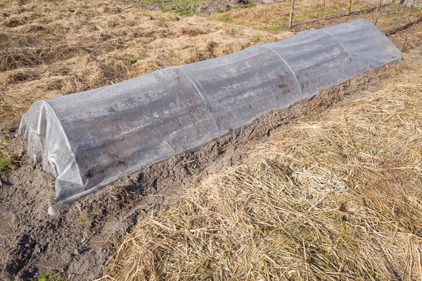 Invernadero de plástico en un huerto ecológico . — Foto de Stock