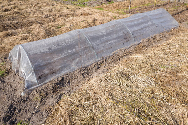 Plastic greenhouse in an organic vegetable garden.