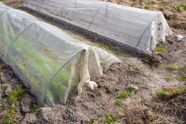 Invernaderos de plástico en el huerto ecológico . — Foto de Stock