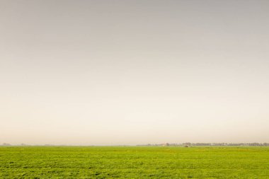 Friesland içinde Heeg, mera.