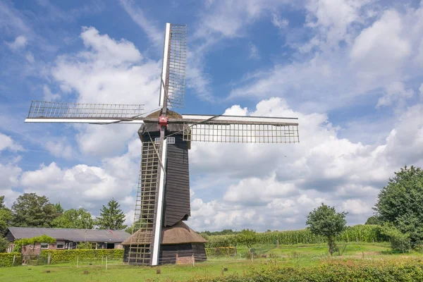 Molino de hamburguesas en un paisaje holandés . —  Fotos de Stock