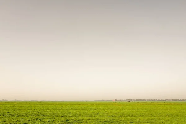 Padang rumput di Heeg di Friesland . — Stok Foto